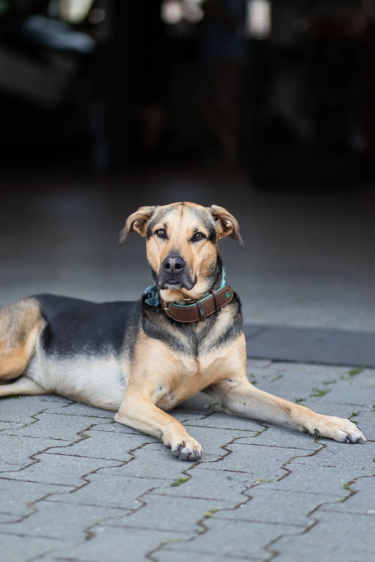 Unsere Lucy